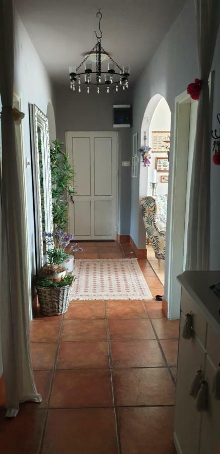 Apartman Felice Starigrad Paklenica Zewnętrze zdjęcie